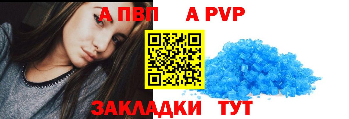 A PVP СК Новочеркасск
