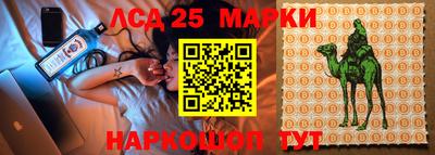 apvp Ставрополь