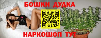 метадон Сланцы