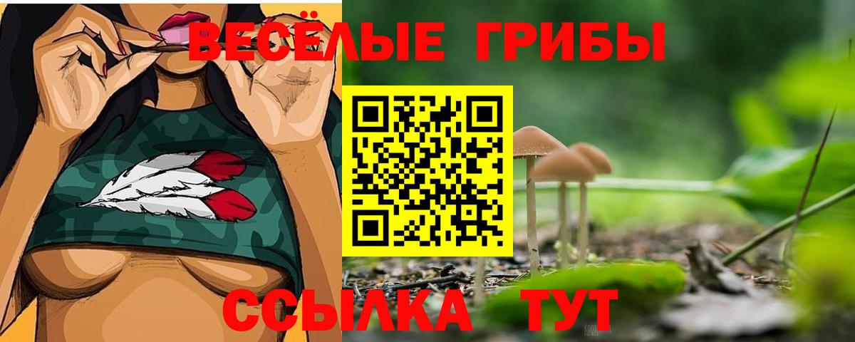 Псилоцибиновые грибы Cubensis  Псилоцибиновые грибы Cubensis  Вход с VPN  Новочеркасск 